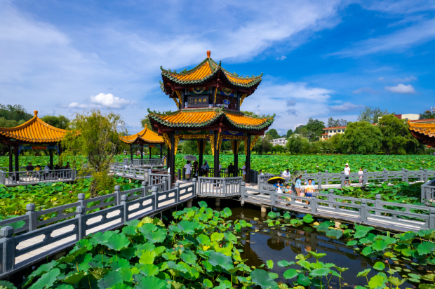 image005.jpg image005.jpg