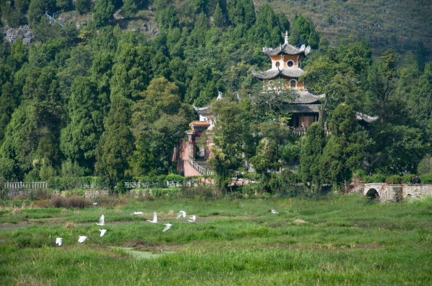 image007 (2).jpg image007 (2).jpg